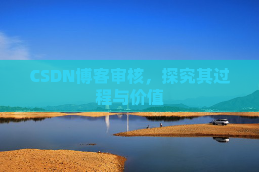 CSDN博客审核，探究其过程与价值